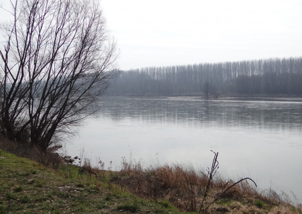 GABČÍVOVO - NA PREDAJ rekreačný a lesný pozemok v panenskej prírode pri starom koryte Dunaja starý prístav okr. Dunajská Streda